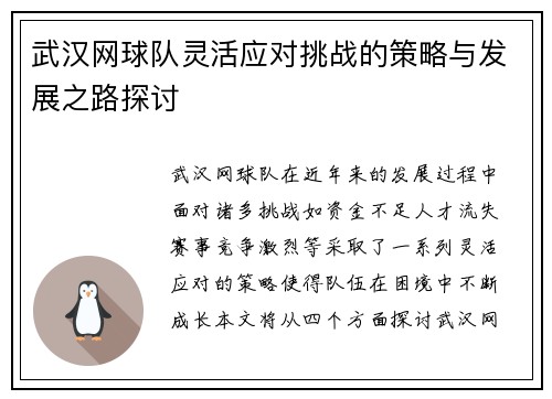 武汉网球队灵活应对挑战的策略与发展之路探讨